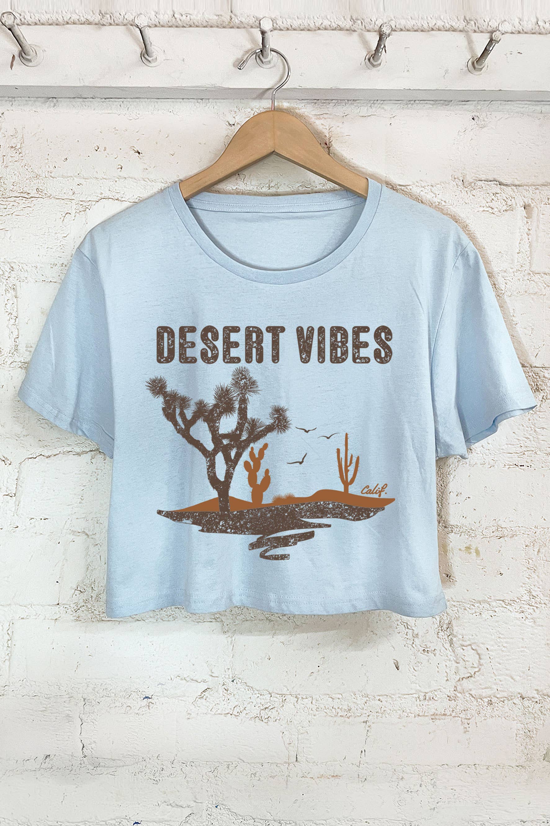 Desert Vibes