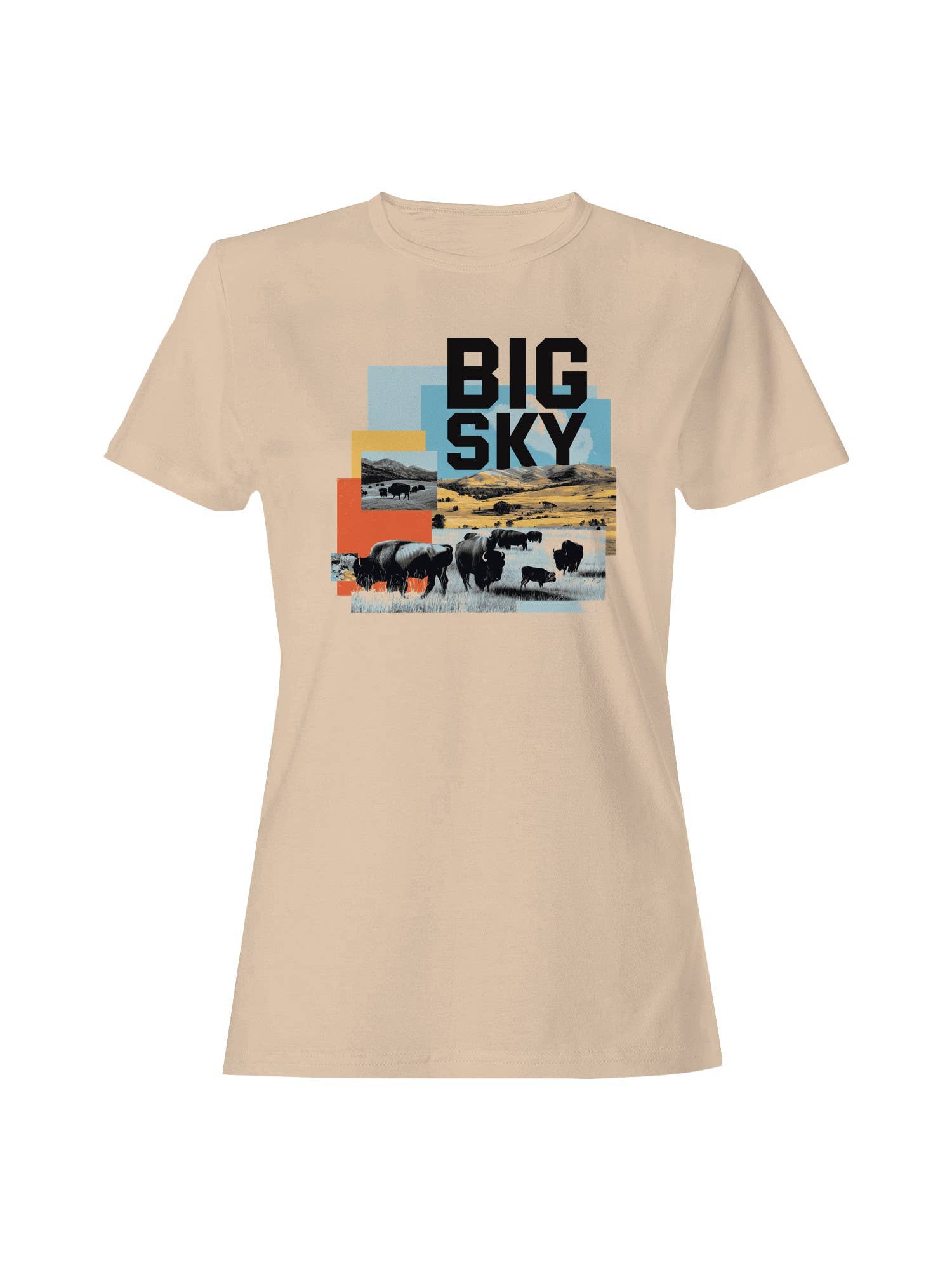 Big Sky Bison Landscape Art Women's T-Shirt