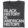 Black History Is American History