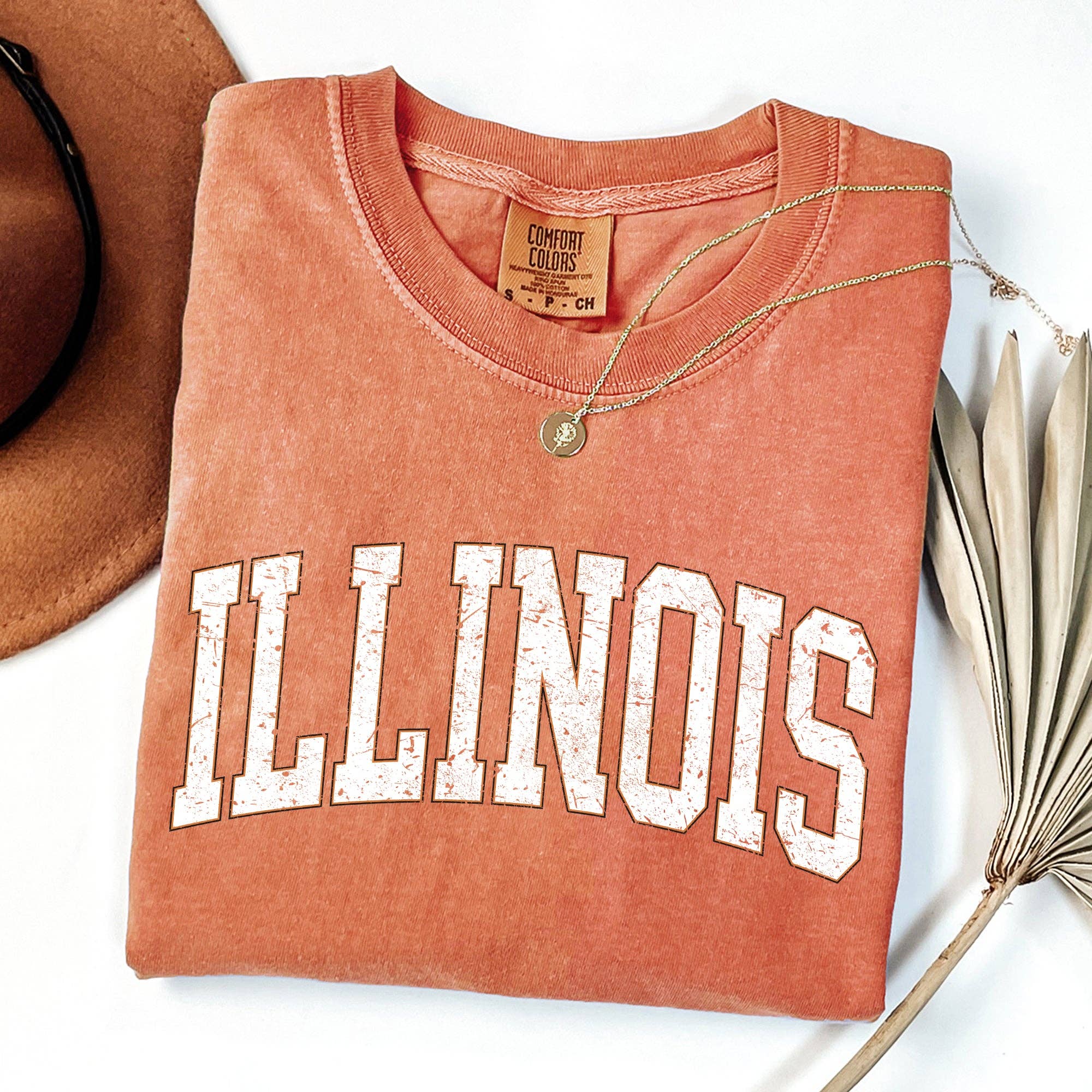 Illinois, Football, Game Day, Tailgate Party State Tshirt