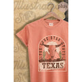 Texas Vintage Graphic Plus Tee