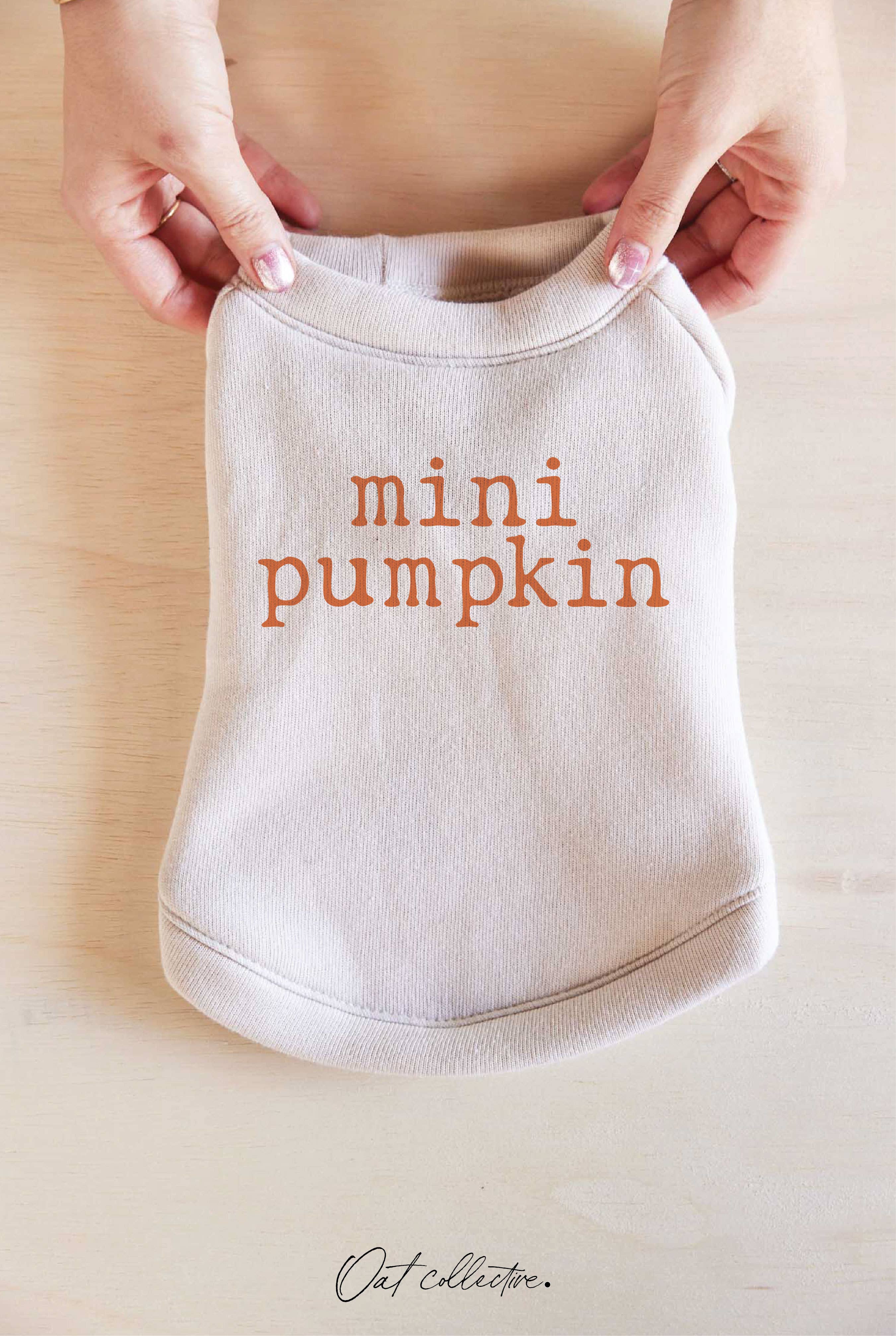 Mini Pumpkin Pet Graphic Sweatshirt