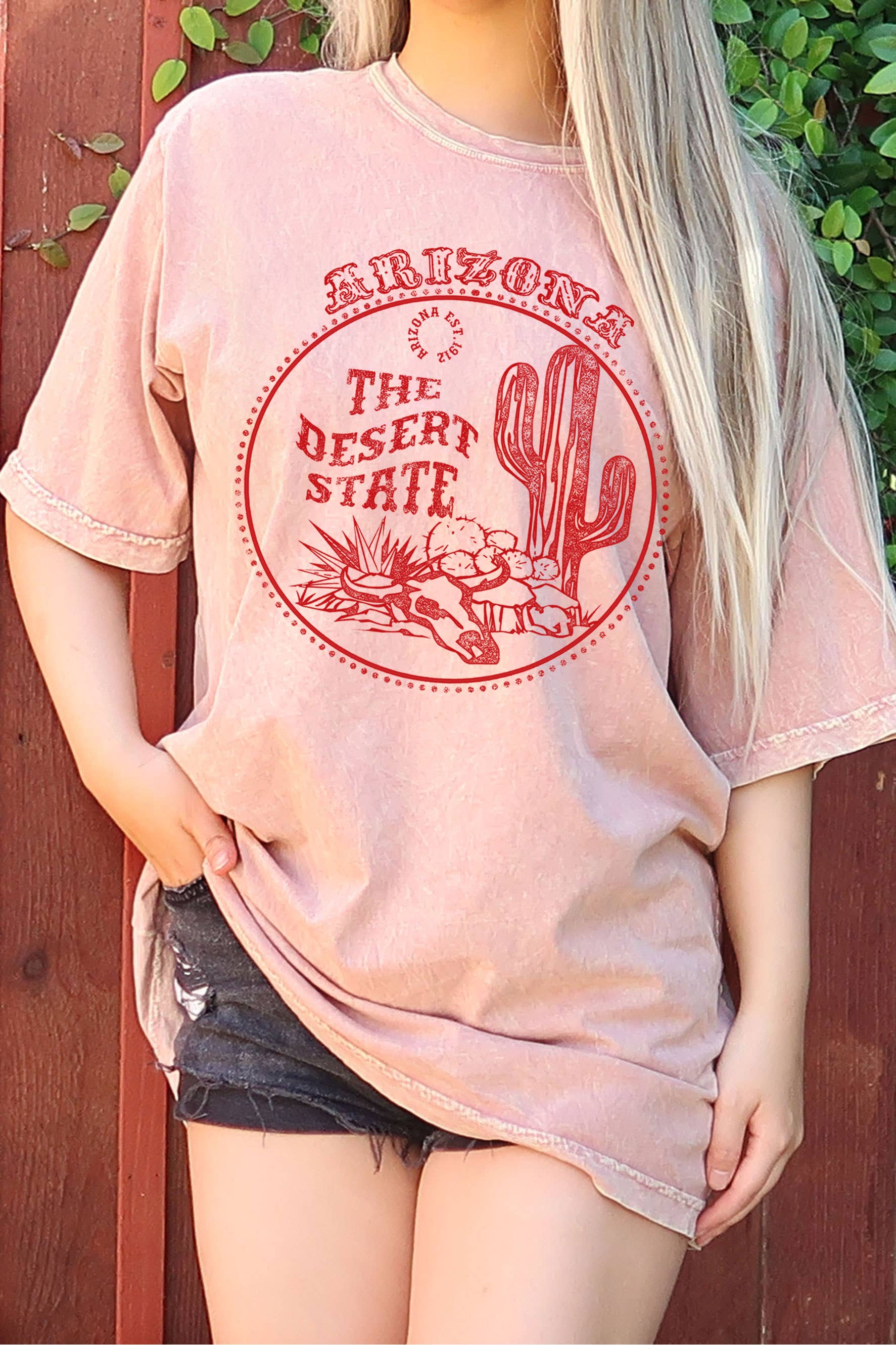 Arizona the Desert State Oversize Mineral Graphic Tshirts