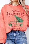 Fresh Cut Christmas Tree Glitter Graphic Brushed Sweatshirts