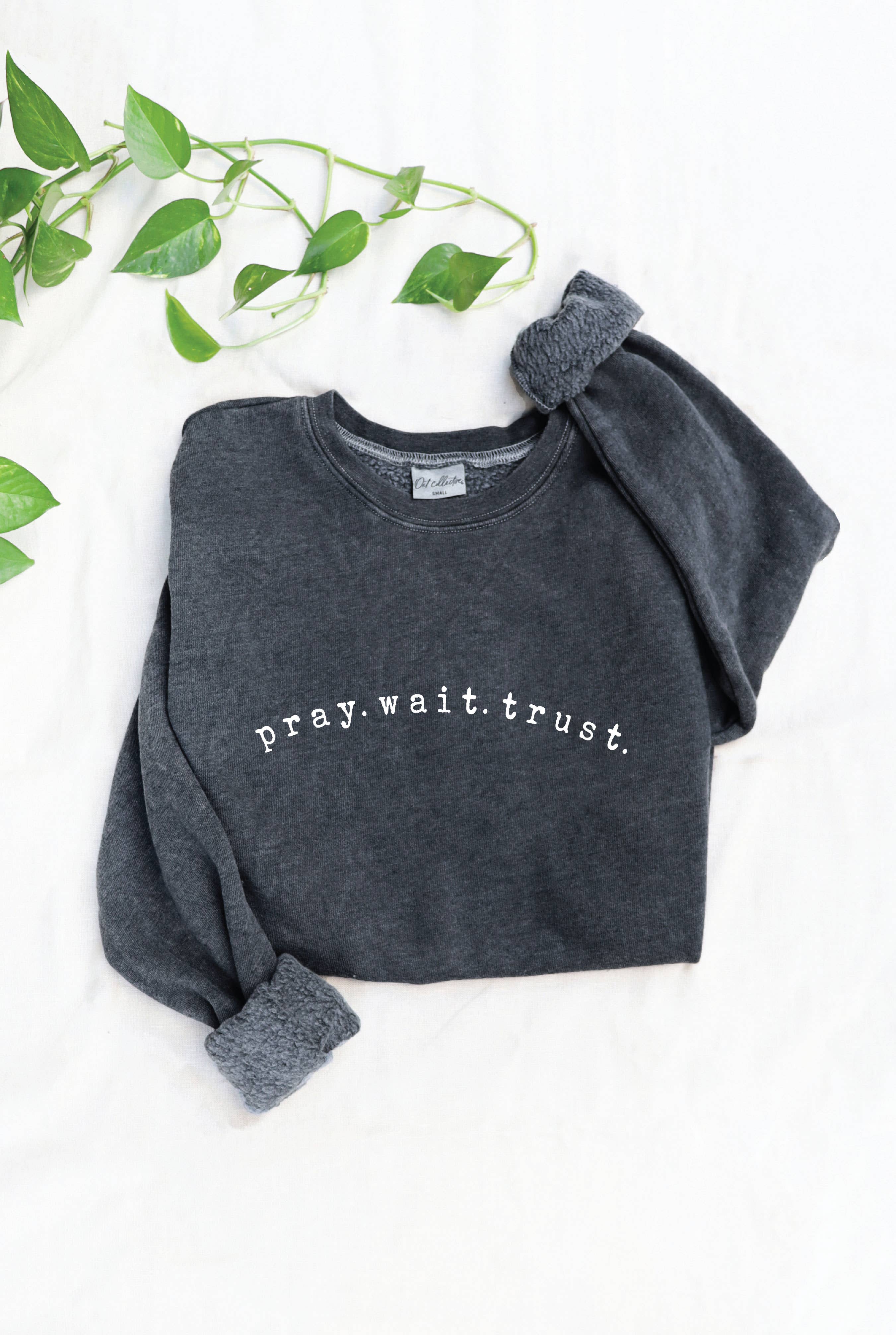 Pray Wait Trust Mineral Graphic Sweatshirt