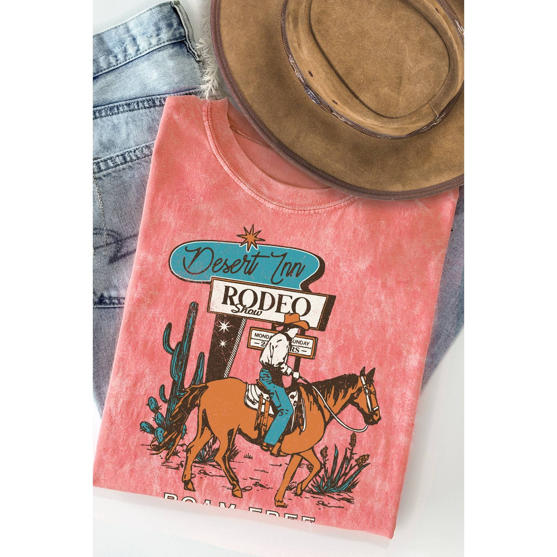 Desert Inn Roam Free Mineral Washed T Shirt
