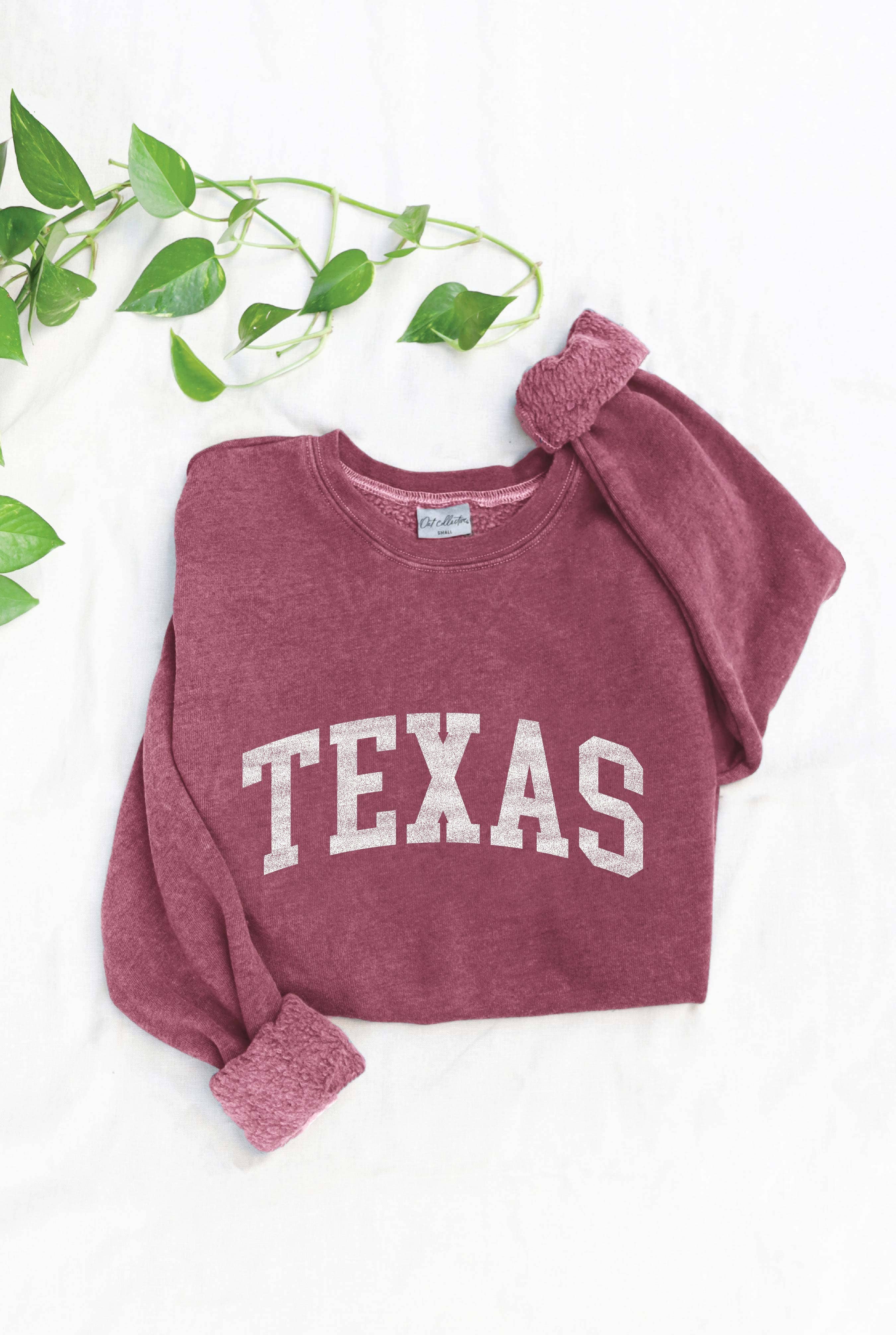 Texas Mineral Washed Graphic Sweatshirt