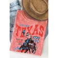 Texas- Vintage Mineral Wash