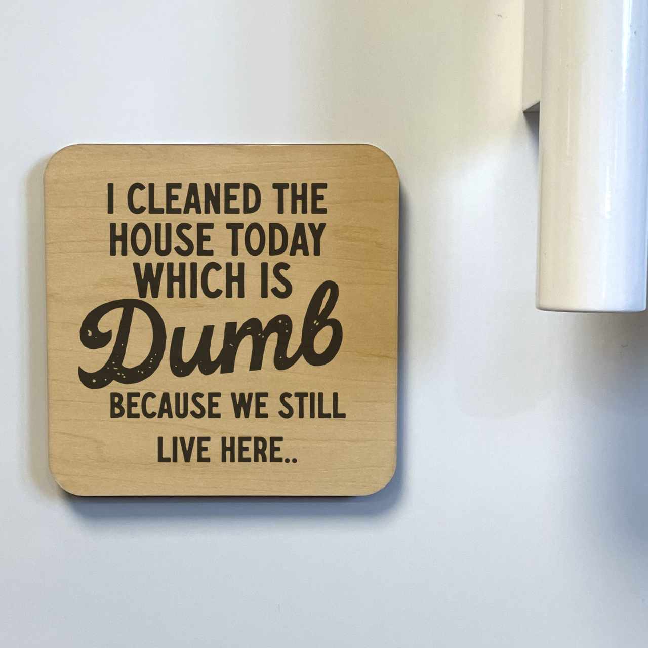 I Cleaned the House Today Magnet/Drink Coaster