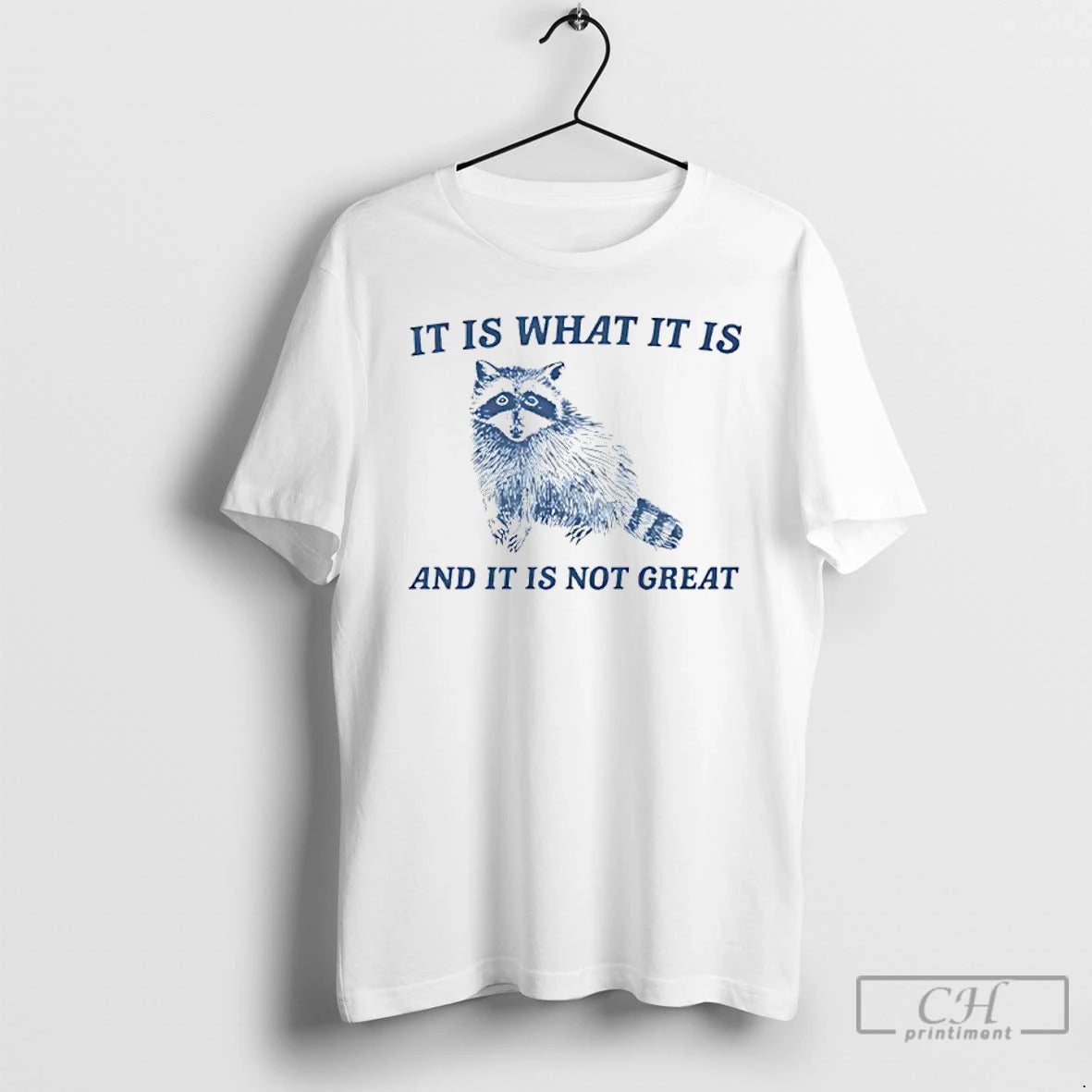 Classic It Is What It Is And It Is Not Great Raccoon T Shirts Sweater