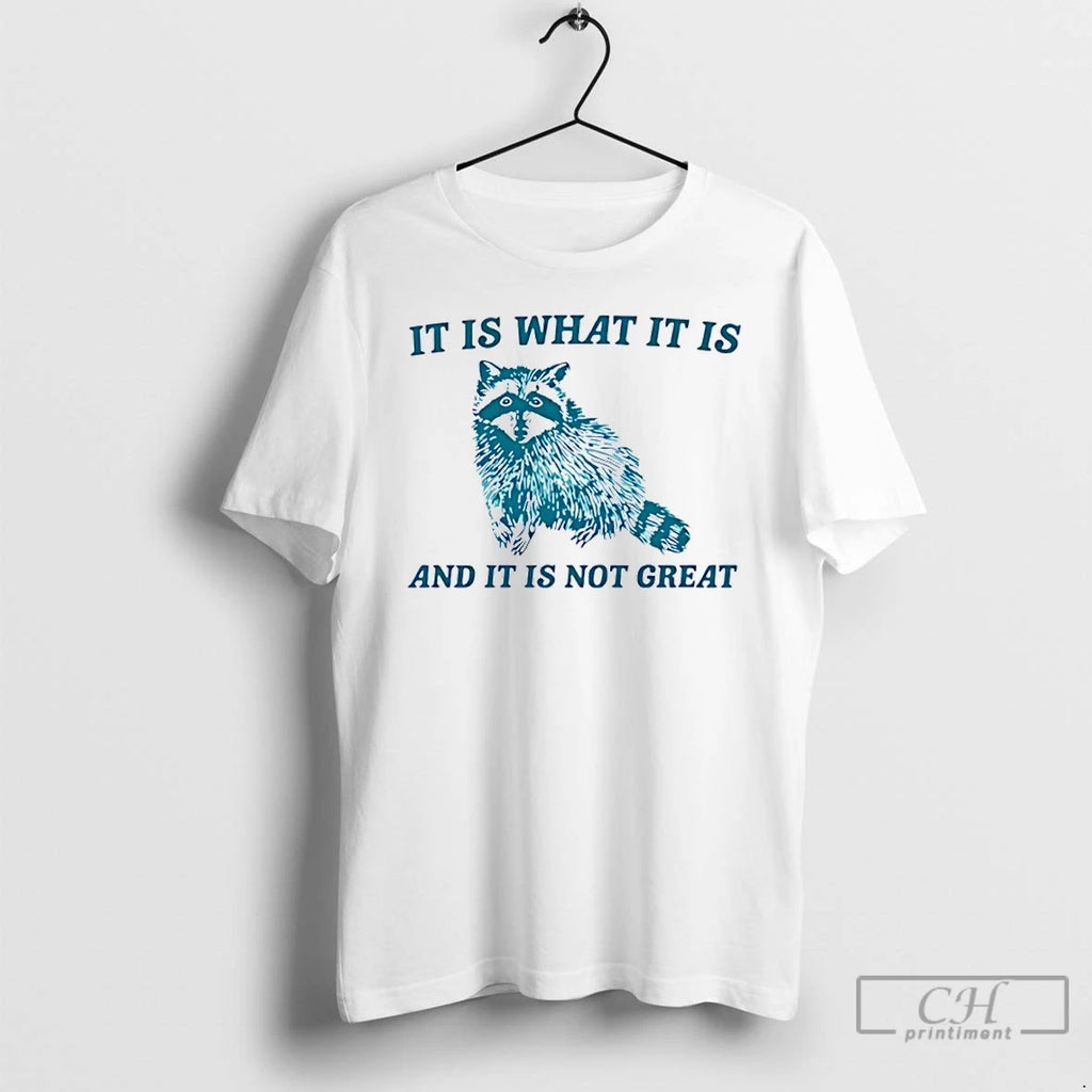 Classic Raccoon It Is What It Is And It Is Not Great T Shirts Sweater