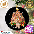 Labradoodle Christmas Tree Lights 2023 Holiday Gifts For Dog Lovers Christmas Decorations Ornament