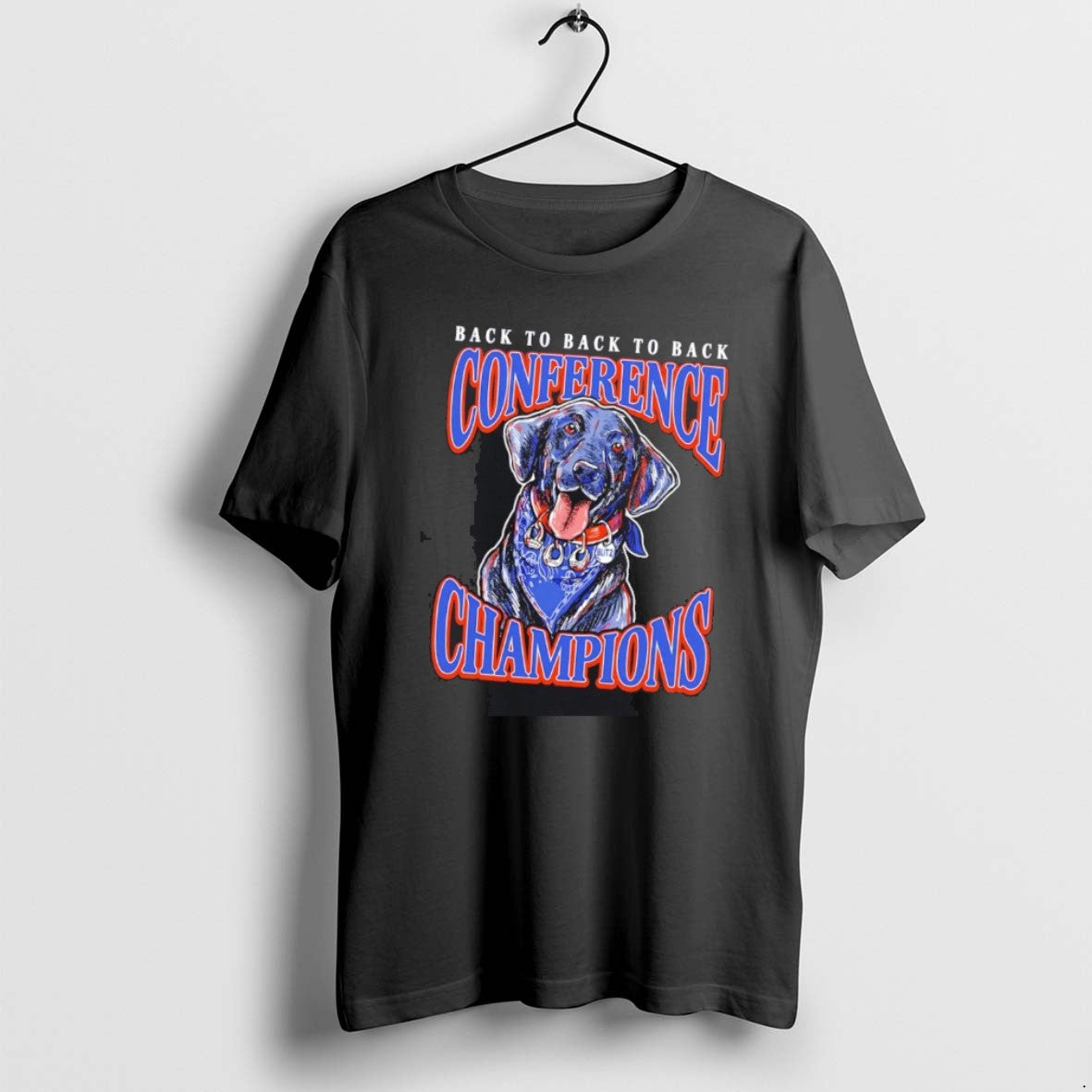 Official Boise State Broncos 2025 Back To Back Conference Champions Mascot