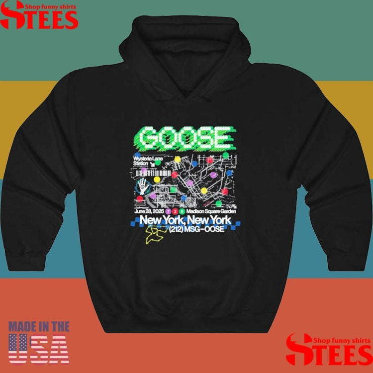 Goose June 28, 2025 Madison Square Garden