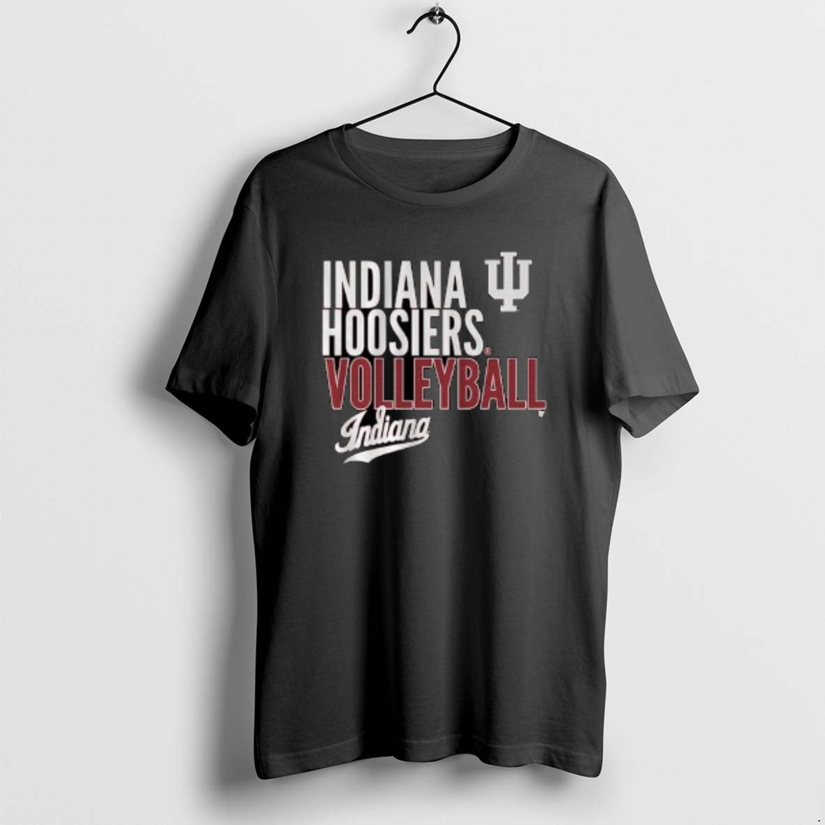 Official Indiana Volleyball Text Logo Overlay 2025 Circle Black