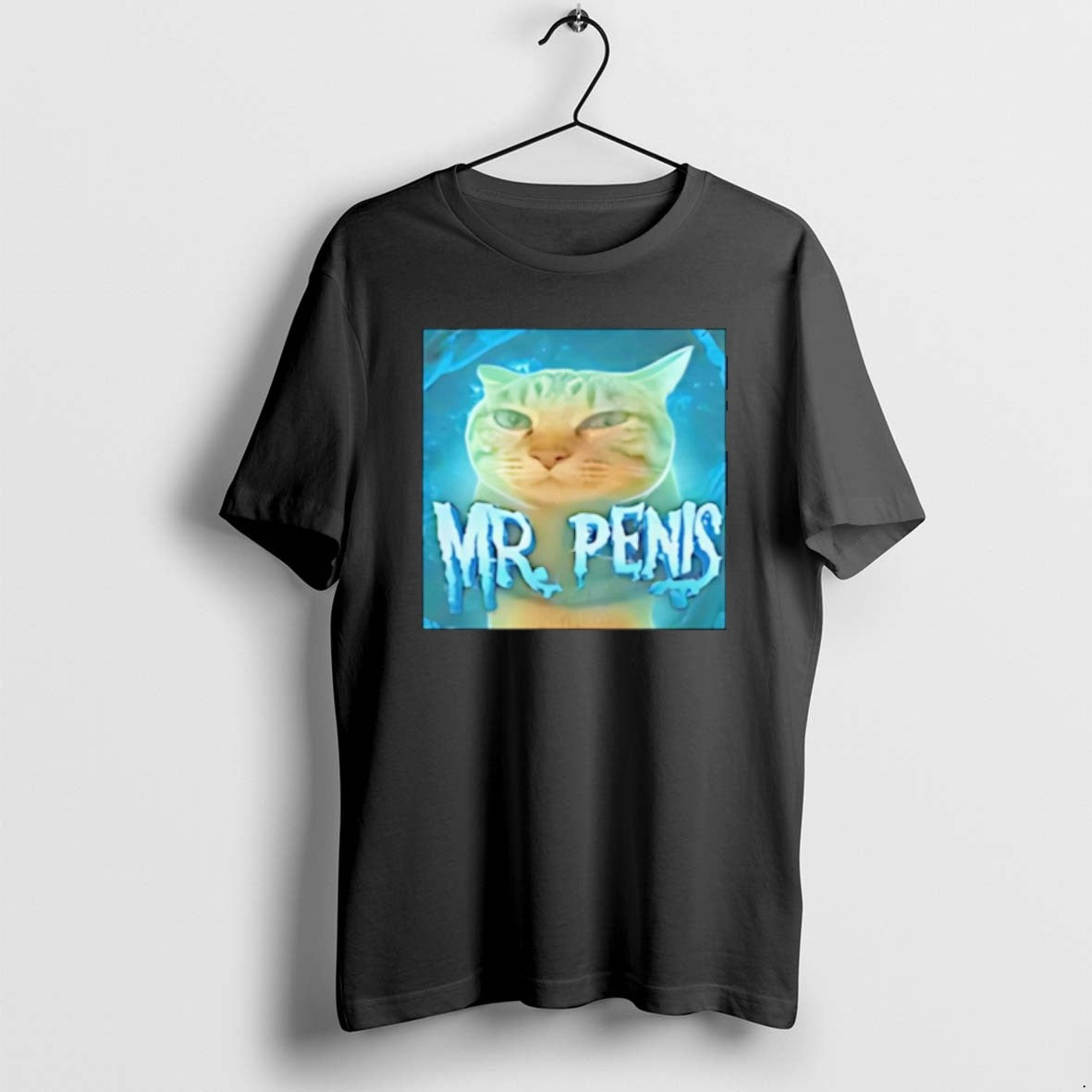 Official Mr Penis Cat Meme Christmas