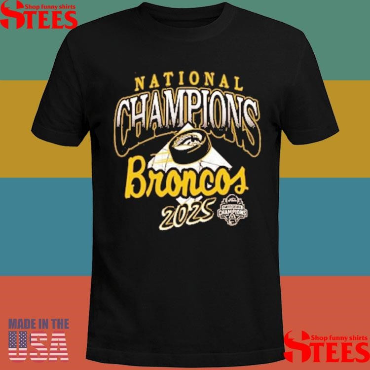 Summit Sportswear Western Michigan Broncos Brown 2025 National Hockey Champions Shirts