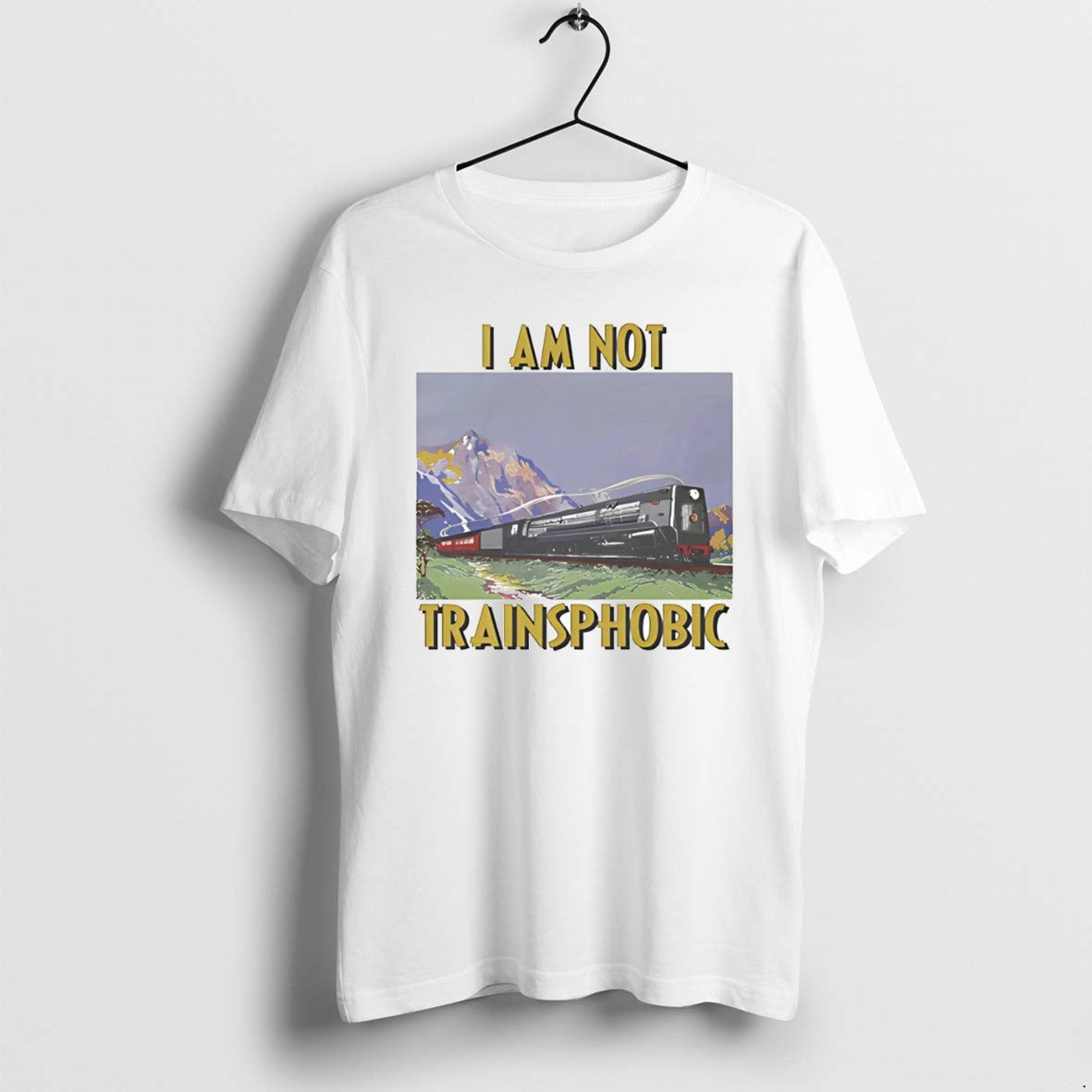 Official Train I Am Not Transphobic