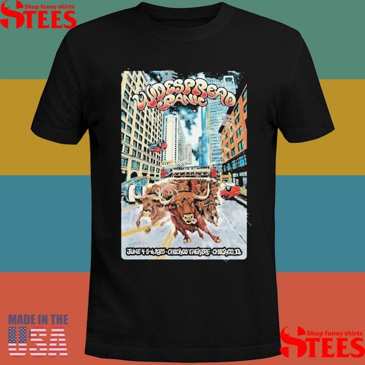 Widespread Panic In Chicago Il On June 4-6 2025 Tour Shirts