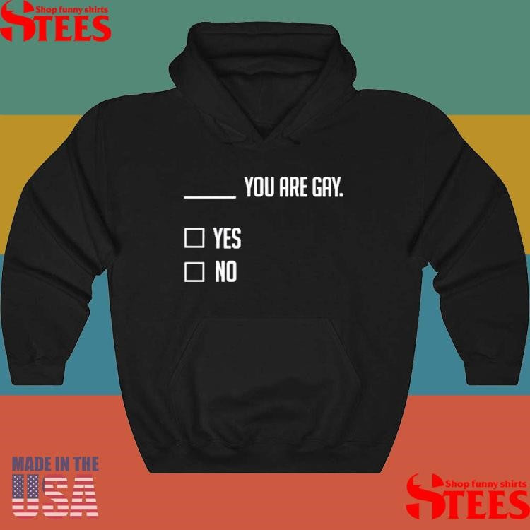 You Are Gay Yes No T-shirt