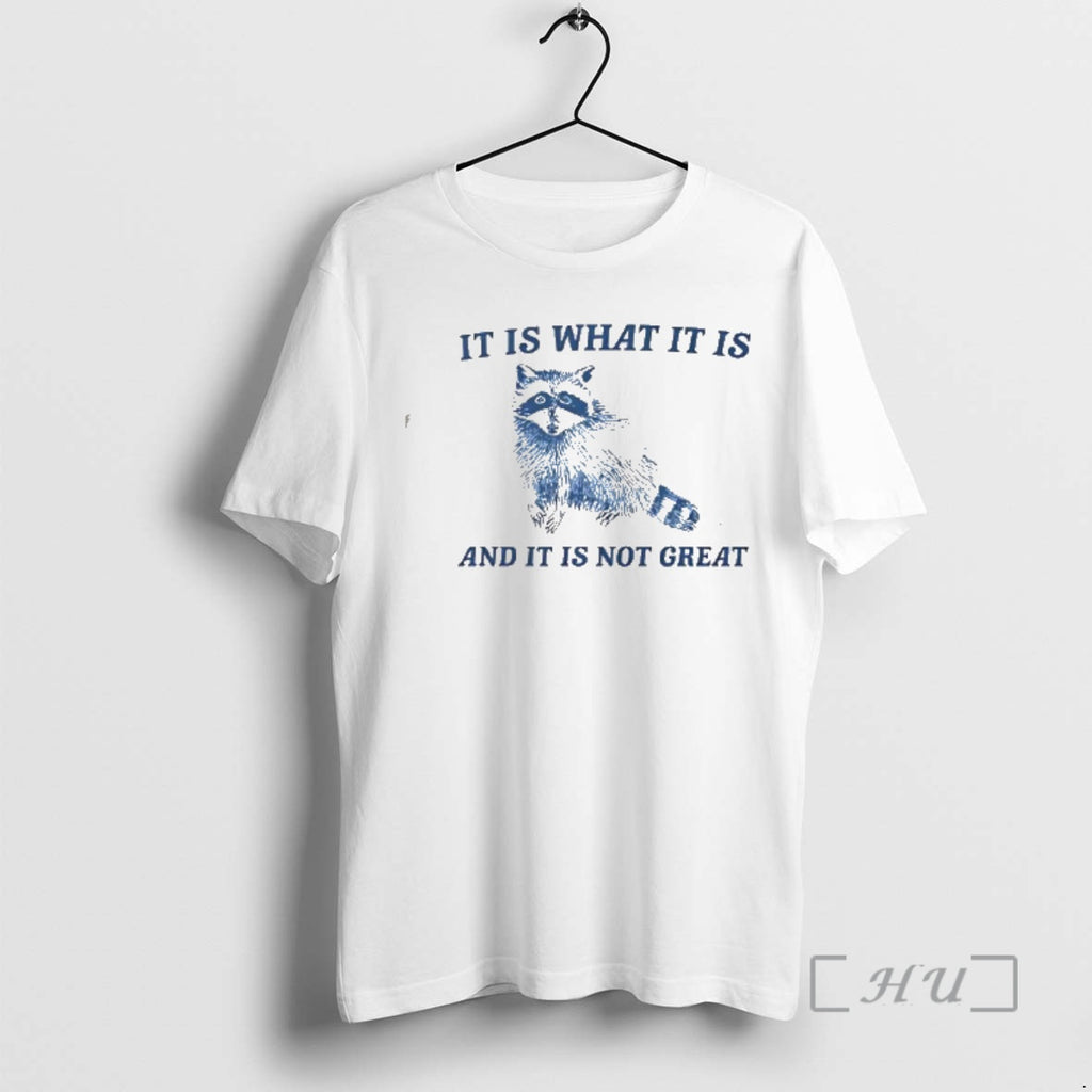 Officials Raccoon It Is What It Is And It Is Not Great Vintage Premium