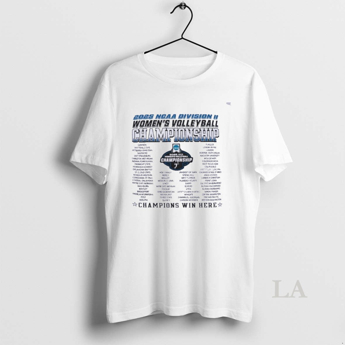 Original Dii Womens Volleyball Regionals 2025