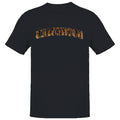 Rochester Tiger Print Arch Design Men's T-Shirt
