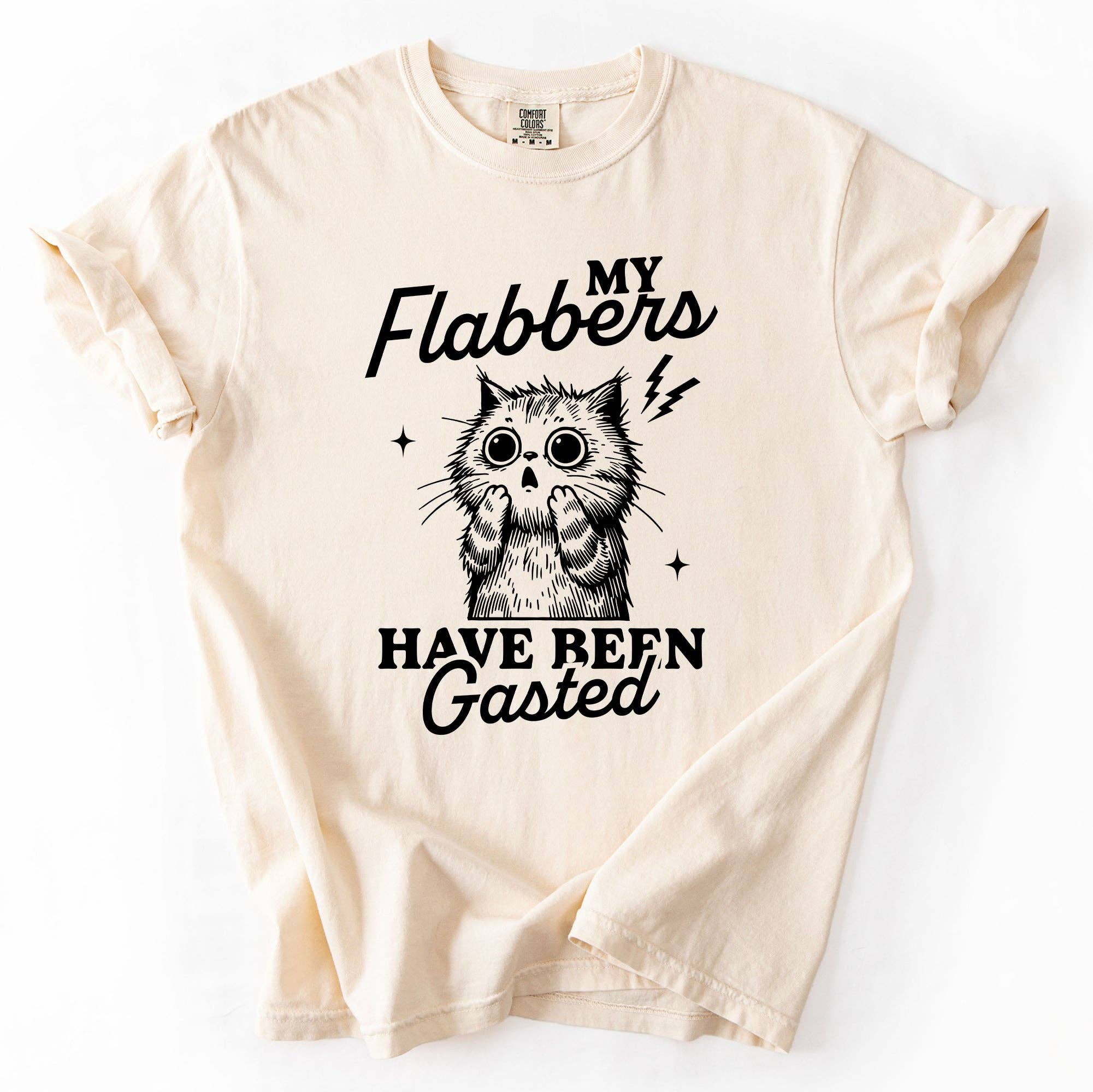 My Flabbers Have Been Gasted, Funny, Sassy, Sarcastic Tshirt