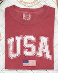 USA, Flag, Collegiate, Varsity, Olympics, Patriotic Shirt