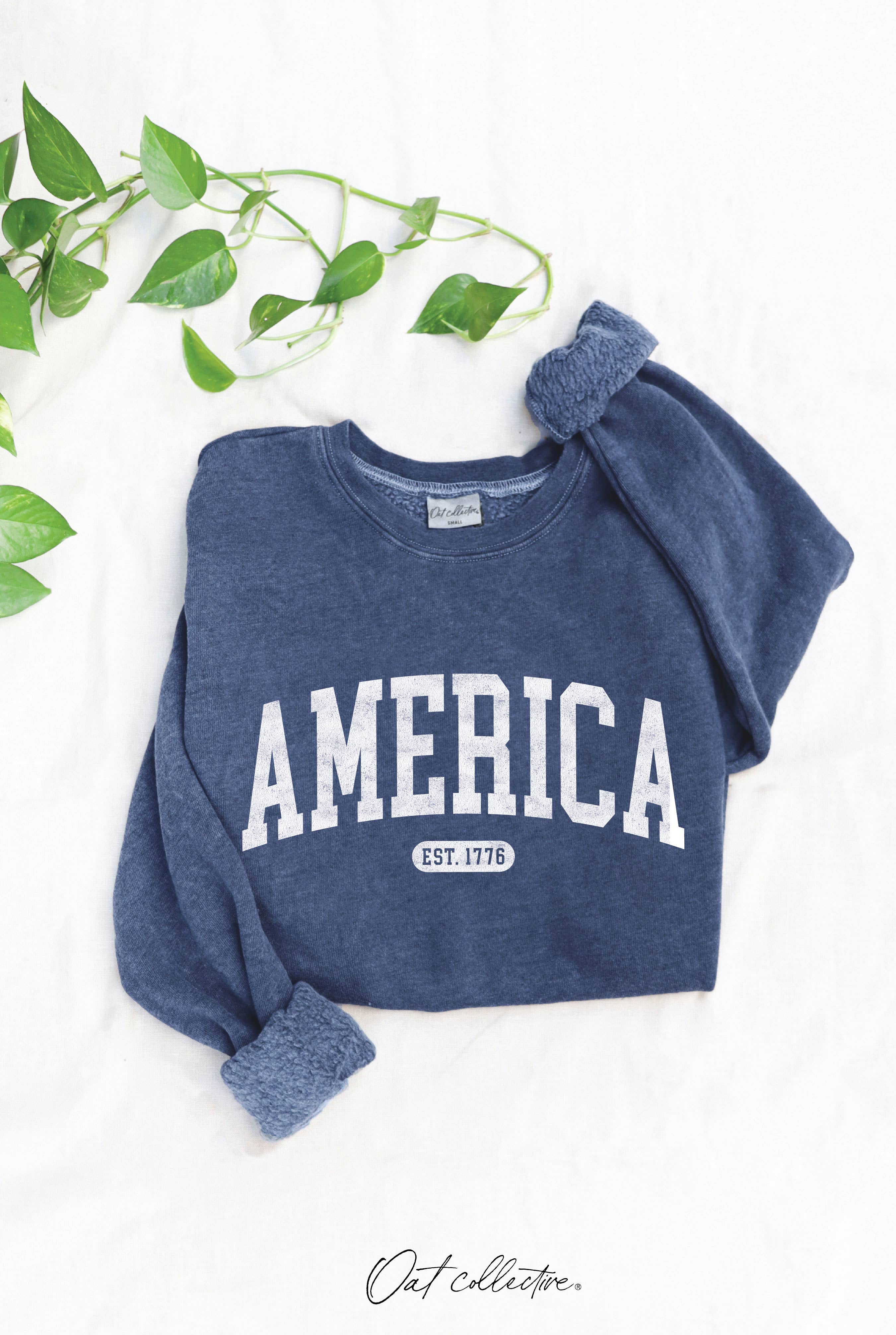 America Est 1776  Mineral Graphic Sweatshirt