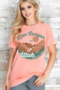 Women Zion Canyon Graphic Print Mineral Wash Top