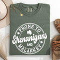 Prone To Shenanigans and Malarkey, St Patrick's Day Tshirt