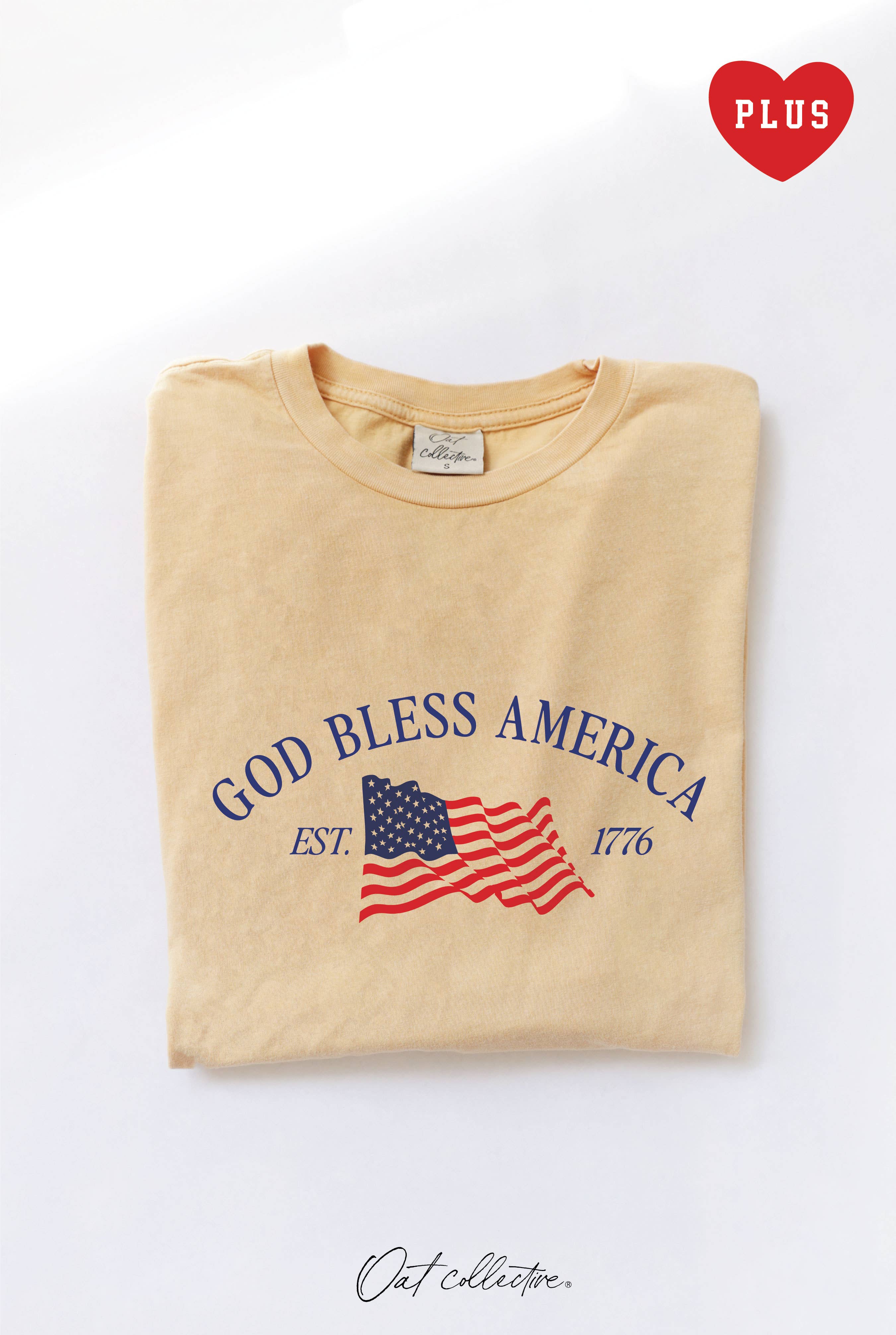 God Bless America Plus Mineral Graphic Top