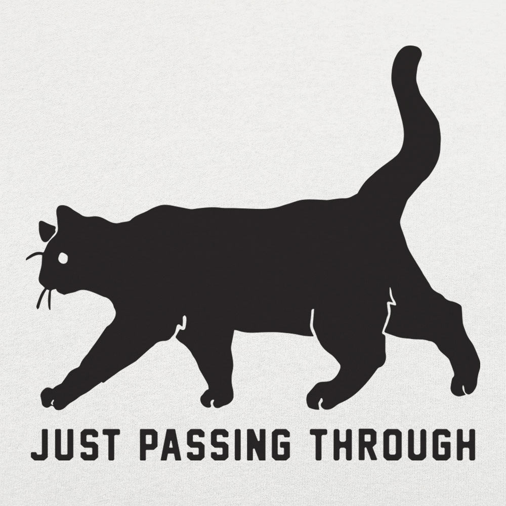 Black Cat Crossing