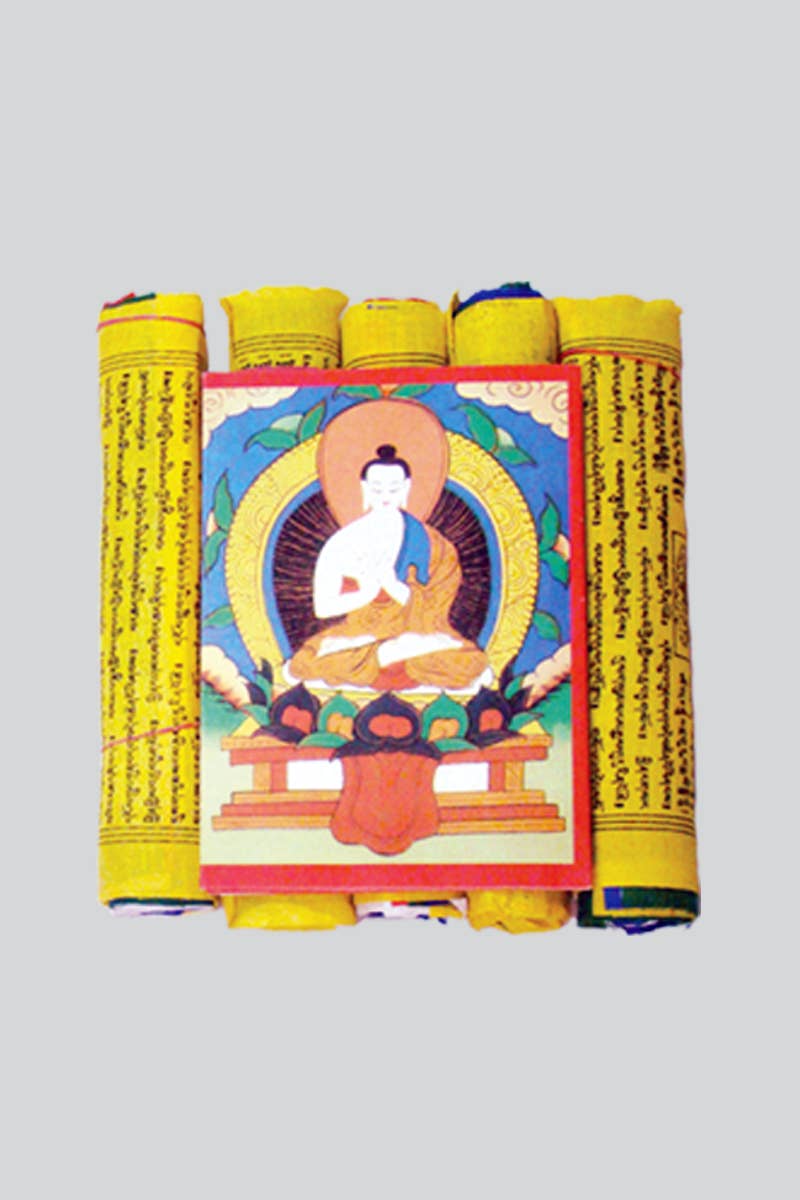 Cotton Prayer Flags (PGP-2)