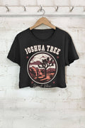 Jushua Tree-Desert Vibes