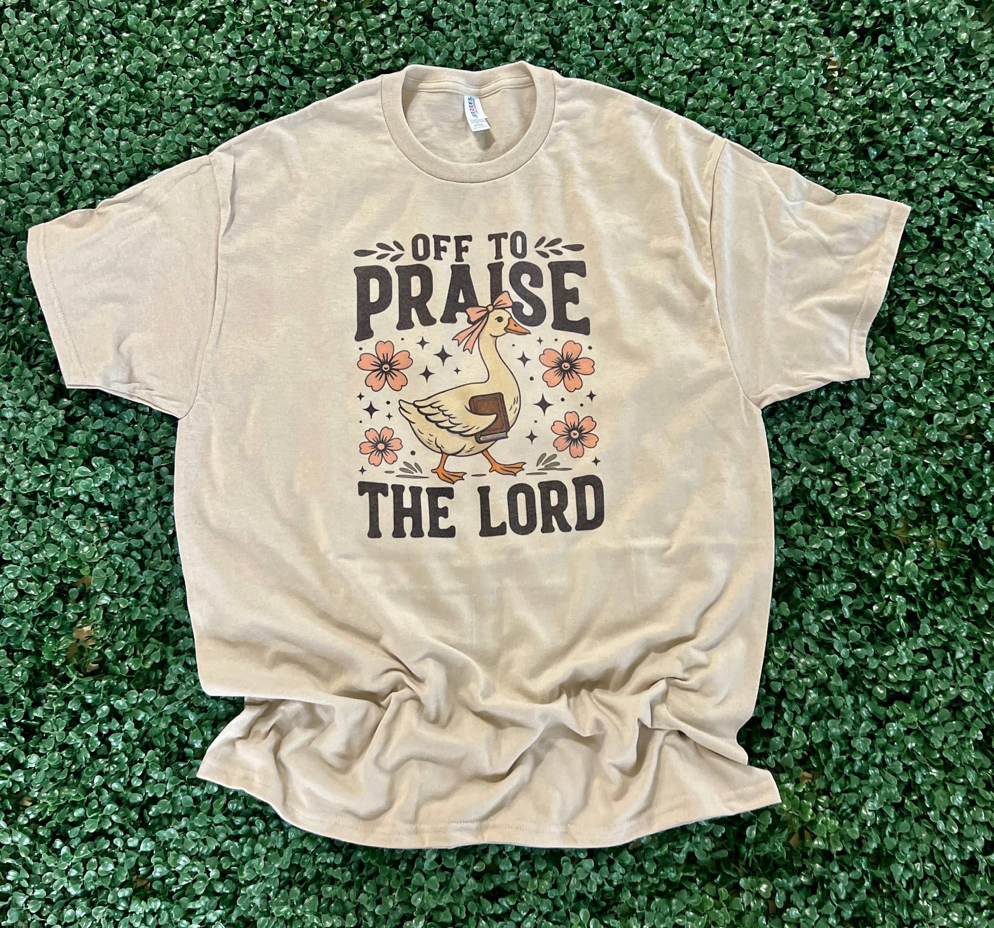 Off To Praise the Lord Goose On Sand