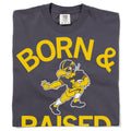 Hawkeyes Born & Raised Vintage Heavyweight
