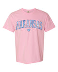 Arkansas Gingham Heart Blossom Comfort Colors Tee