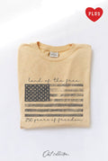 Land of the Free Plus Mineral Graphic Top