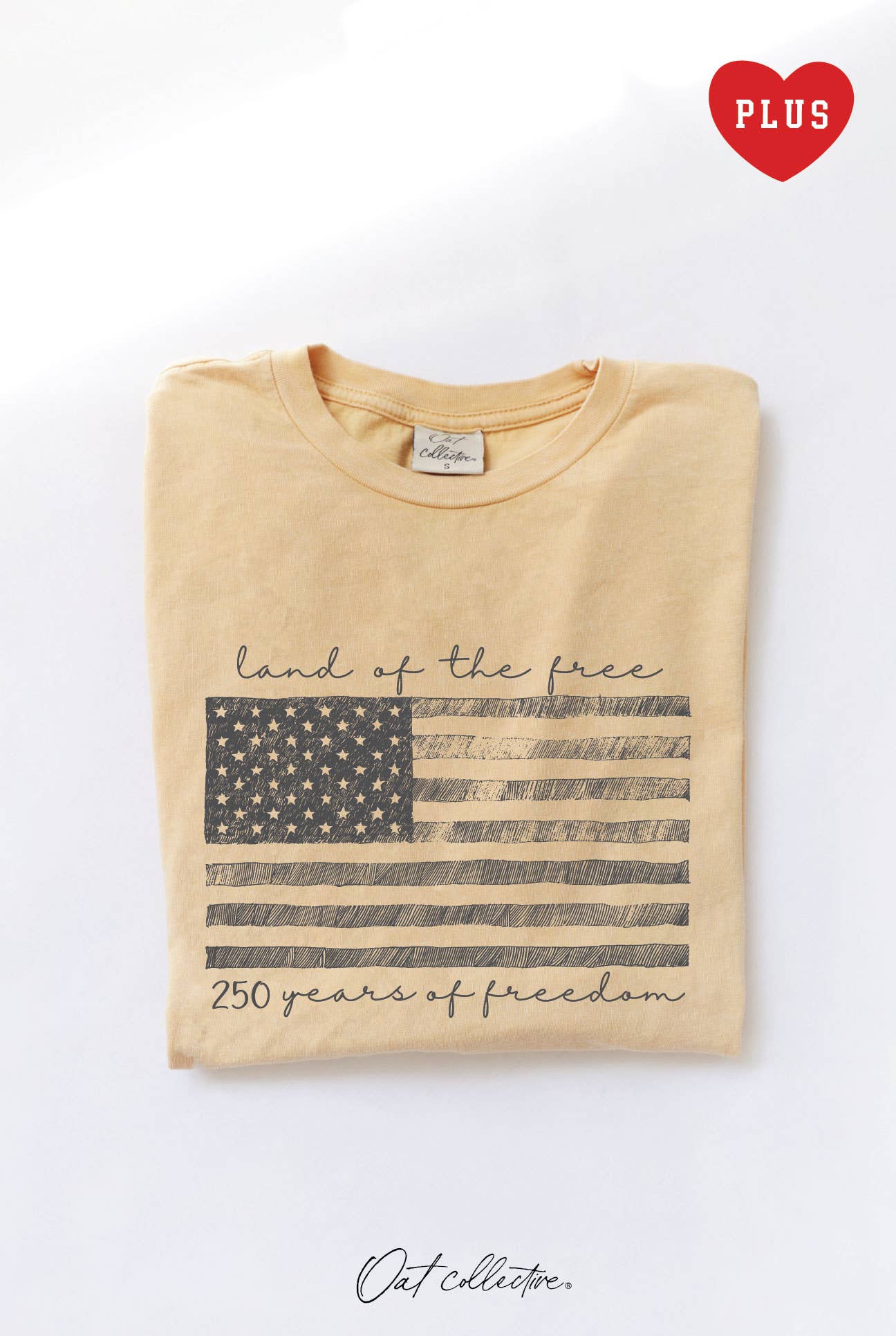 Land of the Free Plus Mineral Graphic Top