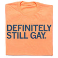 Definitely Still Gay