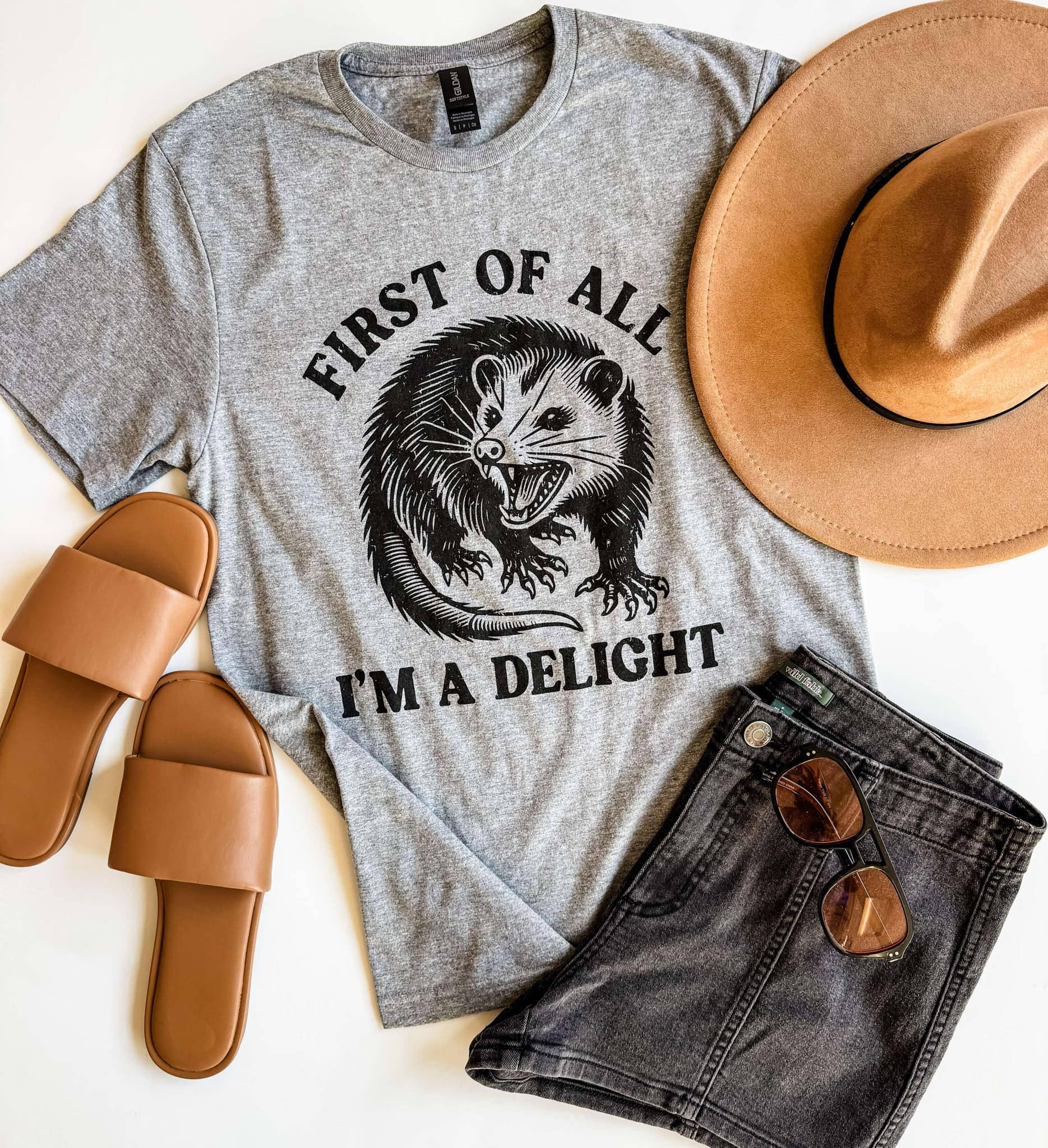 Possum Graphic Tee, Funny Possum Graphic Shirt, Im A Delight