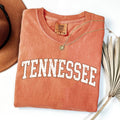 Tennessee, Football, Game Day Tailgate Party State Tshirt