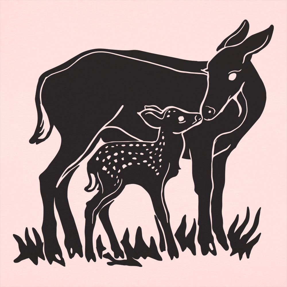 Doe And Fawn