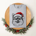 Pomeranian, Santa, Dog, Christmas, Dog Lover, Pet T-Shirt