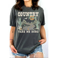 Coumtry Take Me Home