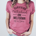 Surviving Motherhood One Meltdown At A Time T-Shirt