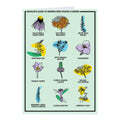 Midwestern Prairie Flowers Greeting Card