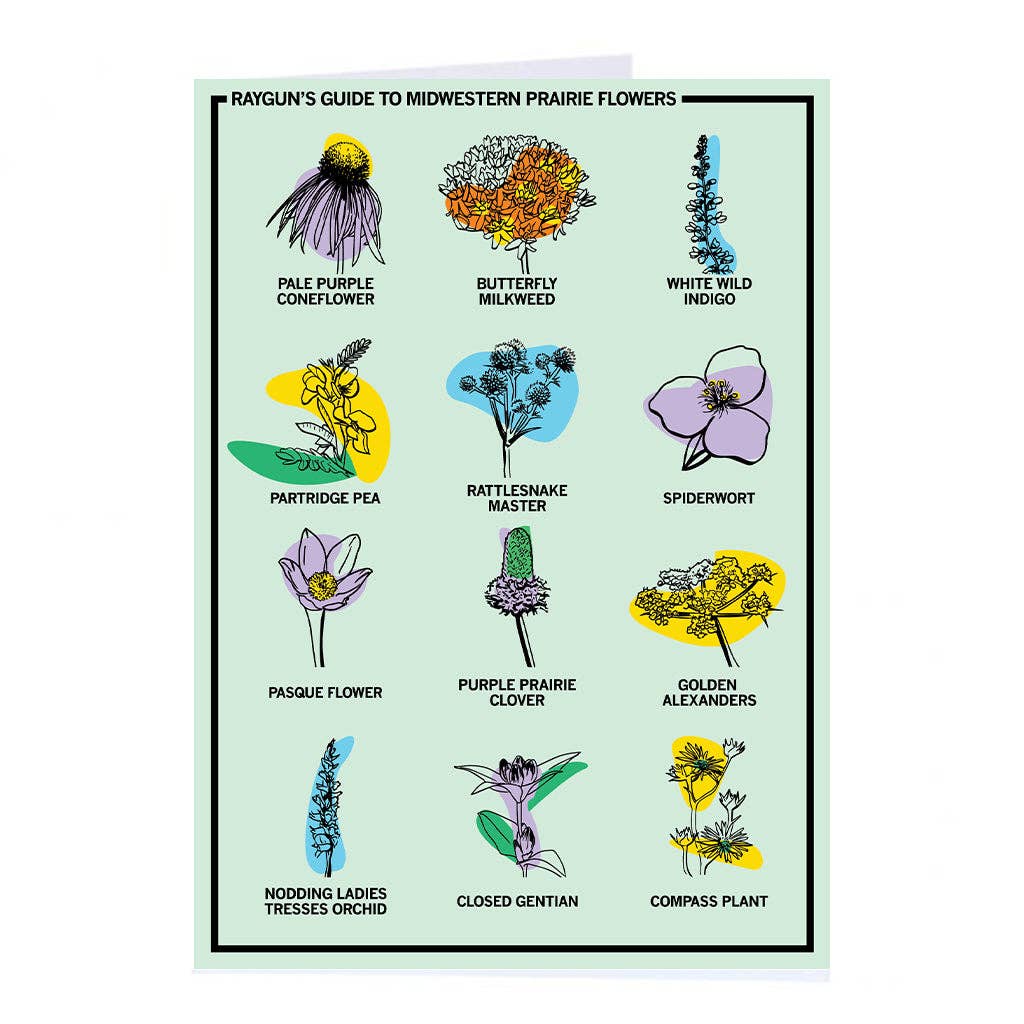 Midwestern Prairie Flowers Greeting Card
